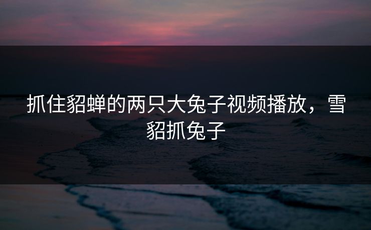 抓住貂蝉的两只大兔子视频播放,雪貂抓兔子 抓住貂蝉的两只大兔子视频播放,雪貂抓兔子